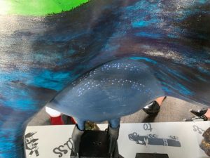Braille on the udders of "Hope"